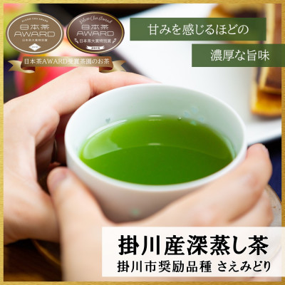 新茶 掛川市奨励品種さえみどり50g×2本 日本茶AWARD受賞茶園のお茶 静岡県掛川市 茶農家直送【配送不可地域：離島・沖縄県】