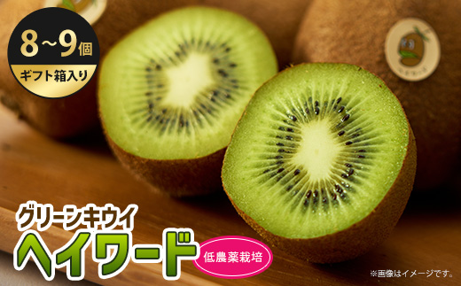5882　掛川産グリーンキウイ「ヘイワード」8～9個(ギフト箱入り)【配送不可地域：離島・北海道・沖縄県・四国・九州】