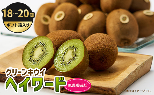 5885　掛川産グリーンキウイ「ヘイワード」18～20個(ギフト箱入り)【配送不可地域：離島・北海道・沖縄県・四国・九州】