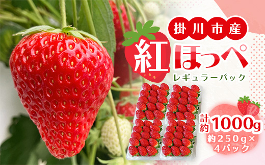 【2025年11月下旬出荷開始】総重量約1000g　掛川市産・紅ほっぺ レギュラーパック 4パック入【配送不可地域：離島・北海道・沖縄県・四国・九州】