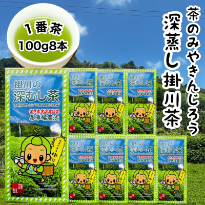 一番茶100%使用　世界農業遺産　茶草場農法　茶のみやきんじろう深蒸し掛川茶　8本セット【配送不可地域：離島・沖縄県】