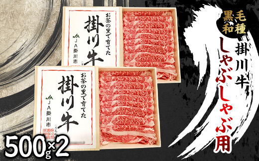 掛川牛(黒毛和種)しゃぶしゃぶ用 500g×2(冷凍)【配送不可地域：離島・北海道・沖縄県・四国・九州】