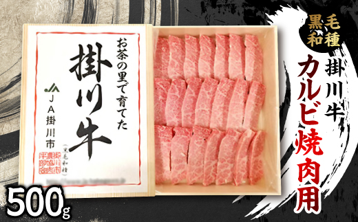 掛川牛(黒毛和種)カルビ焼肉用 500g(冷凍)【配送不可地域：離島・北海道・沖縄県・四国・九州】
