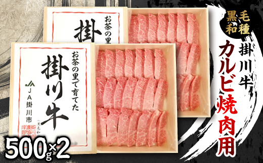 掛川牛(黒毛和種)カルビ焼肉用 500g×2(冷凍)【配送不可地域：離島・北海道・沖縄県・四国・九州】