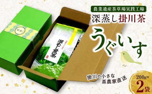 掛川の小さな茶農家直送 農業遺産茶草場実践工場 深蒸し掛川茶「うぐいす」 200g×2【配送不可地域：離島・沖縄県】