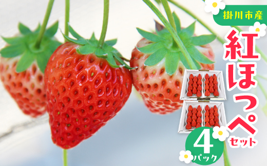 紅ほっぺセット(4パック)【配送不可地域：離島・北海道・沖縄県・四国・九州】