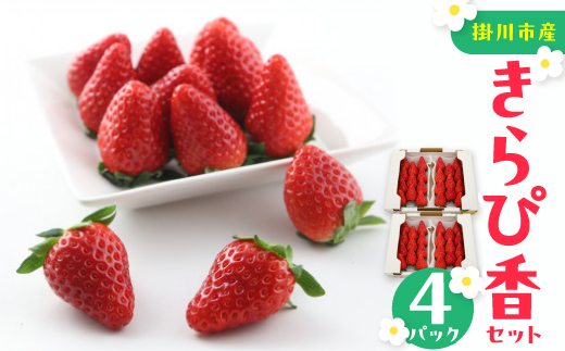 きらぴ香セット(4パック)【配送不可地域：離島・北海道・沖縄県・四国・九州】