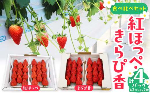 紅ほっぺ・きらぴ香食べ比べセット(各2パック　計4パック)【配送不可地域：離島・北海道・沖縄県・四国・九州】