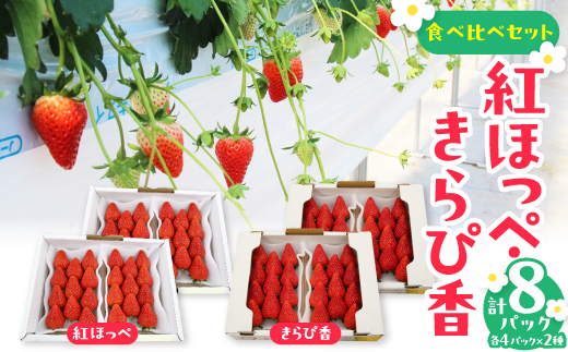 紅ほっぺ・きらぴ香食べ比べセット(各4パック　計8パック)【配送不可地域：離島・北海道・沖縄県・四国・九州】