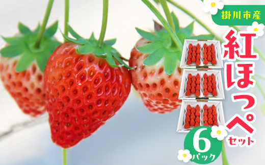 紅ほっぺセット(6パック)【配送不可地域：離島・北海道・沖縄県・四国・九州】