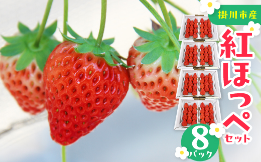 紅ほっぺセット(8パック)【配送不可地域：離島・北海道・沖縄県・四国・九州】