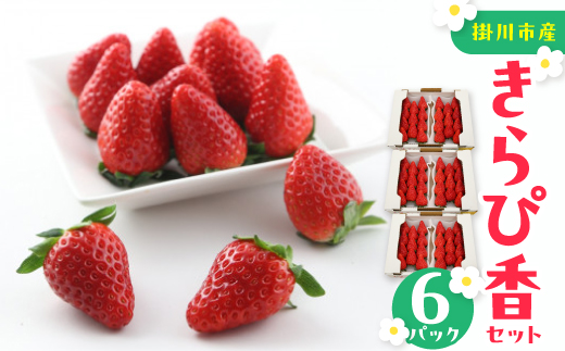 きらぴ香セット(6パック)【配送不可地域：離島・北海道・沖縄県・四国・九州】