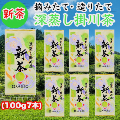 【2026年5月下旬より順次発送】新茶　深蒸し掛川茶　旬の香り・味をお届けします。100g×7本【配送不可地域：離島・沖縄県】