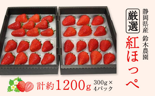 【2026年発送　先行受付】静岡県産いちご「厳選紅ほっぺ」4パック　約1.2kg【配送不可地域：離島・北海道・沖縄県・東北・中国・四国・九州】