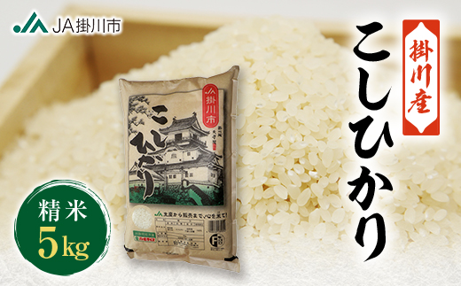 掛川産こしひかり 精米 5kg【配送不可地域：離島・沖縄県】
