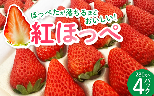 紅ほっぺ280g×4パック　おいしい完熟いちご【配送不可地域：離島・北海道・沖縄県・四国・九州】