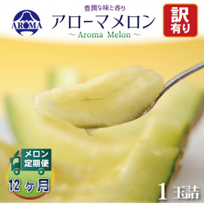 【毎月定期便】【訳あり】アローマメロン 1玉 全12回【配送不可地域：離島・北海道・沖縄県】