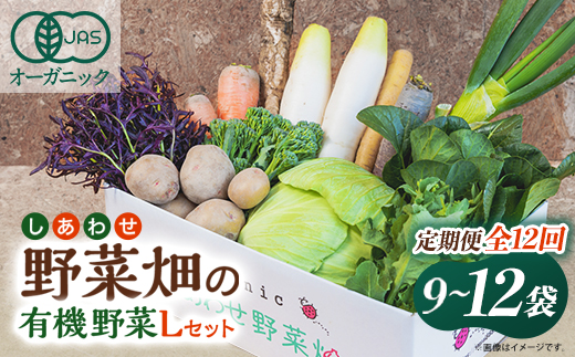 【毎月定期便】しあわせ野菜畑の有機野菜　Lセット　(安心の有機JAS認証　オーガニック野菜)全12回【配送不可地域：離島・北海道・沖縄県・四国・九州】