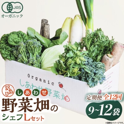 【毎月定期便】しあわせ野菜畑のシェフLセット　(訳あり規格外の有機野菜を一部使用)全12回【配送不可地域：離島・北海道・沖縄県・四国・九州】
