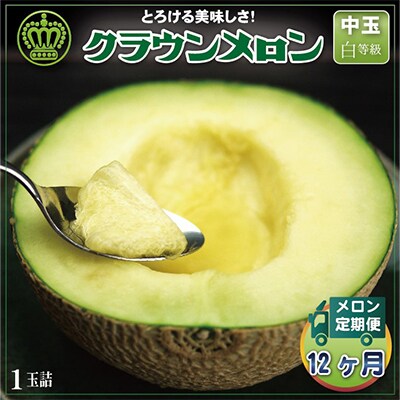 【毎月定期便】クラウンメロン(白等級) 中玉1玉 全12回【配送不可地域：離島・北海道・沖縄県】