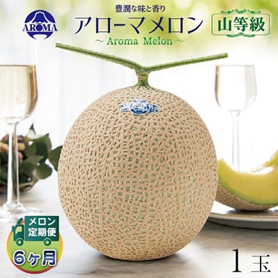 【毎月定期便】アローマメロン(山等級) 1玉 全6回【配送不可地域：離島・北海道・沖縄県】