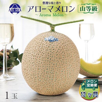【毎月定期便】アローマメロン(山等級) 1玉 全12回【配送不可地域：離島・北海道・沖縄県】