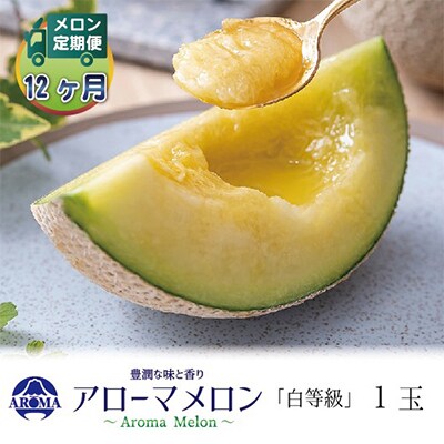 【毎月定期便】アローマメロン(白等級) 1玉 全12回【配送不可地域：離島・北海道・沖縄県】