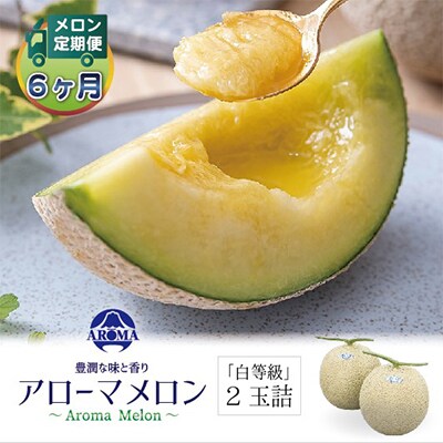 【毎月定期便】アローマメロン(白等級) 2玉 全6回【配送不可地域：離島・北海道・沖縄県】
