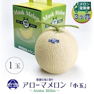 【毎月定期便】アローマメロン(小玉) 1玉 全3回【配送不可地域：離島・北海道・沖縄県】