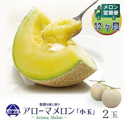 【毎月定期便】アローマメロン(小玉) 2玉 全12回【配送不可地域：離島・北海道・沖縄県】