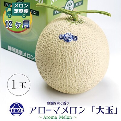 【毎月定期便】アローマメロン白等級(大玉) 1玉 全12回【配送不可地域：離島・北海道・沖縄県】