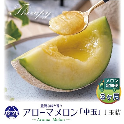 【毎月定期便】アローマメロン白等級(中玉) 1玉 全3回【配送不可地域：離島・北海道・沖縄県】