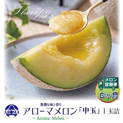 【毎月定期便】アローマメロン白等級(中玉) 1玉 全6回【配送不可地域：離島・北海道・沖縄県】