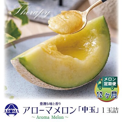 【毎月定期便】アローマメロン白等級(中玉) 1玉 全12回【配送不可地域：離島・北海道・沖縄県】