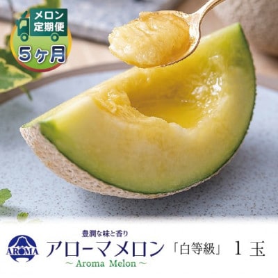 【毎月定期便】アローマメロン(白等級) 1玉　全5回【配送不可地域：離島・北海道・沖縄県】