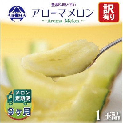 【毎月定期便】【訳あり】クラウンメロン 1玉　全9回【配送不可地域：離島・北海道・沖縄県】