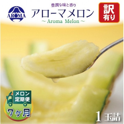 【毎月定期便】【訳あり】アローマメロン 1玉　全7回【配送不可地域：離島・北海道・沖縄県】