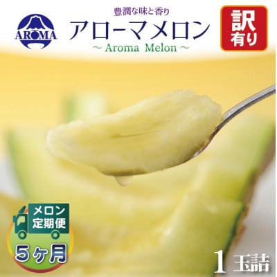 【毎月定期便】【訳あり】アローマメロン 1玉　全5回【配送不可地域：離島・北海道・沖縄県】