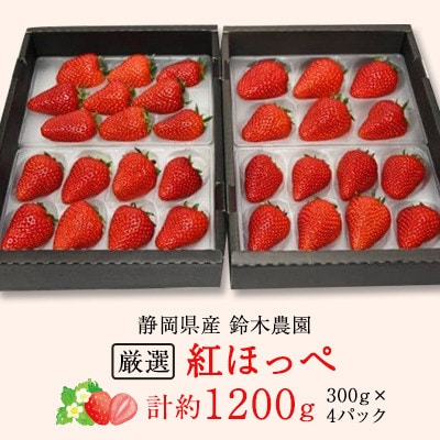 【発送月固定定期便】静岡県産いちご　厳選「紅ほっぺ」4パックセット(約1.2kg)全3回【配送不可地域：離島・北海道・沖縄県・東北・中国・四国・九州】
