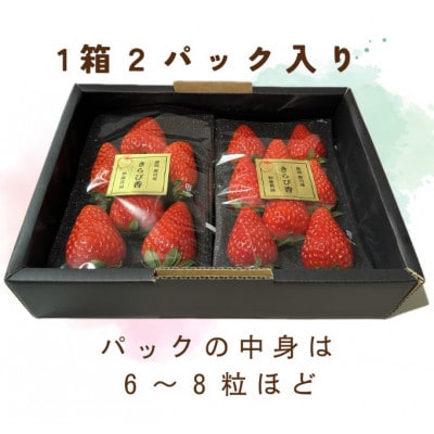 【先行受付】いちご【きらぴ香】1箱 (1箱2パック入り 約250g×2)【配送不可地域：離島・北海道・沖縄県・四国・九州】