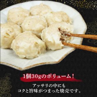 シュウマイ 60個 4パック 国産野菜 国産豚肉 冷凍 餃子 しゅうまい シューマイ 焼売 おつまみ 冷凍食品 食品 惣菜 中華 惣菜 業務用 おかず ビール