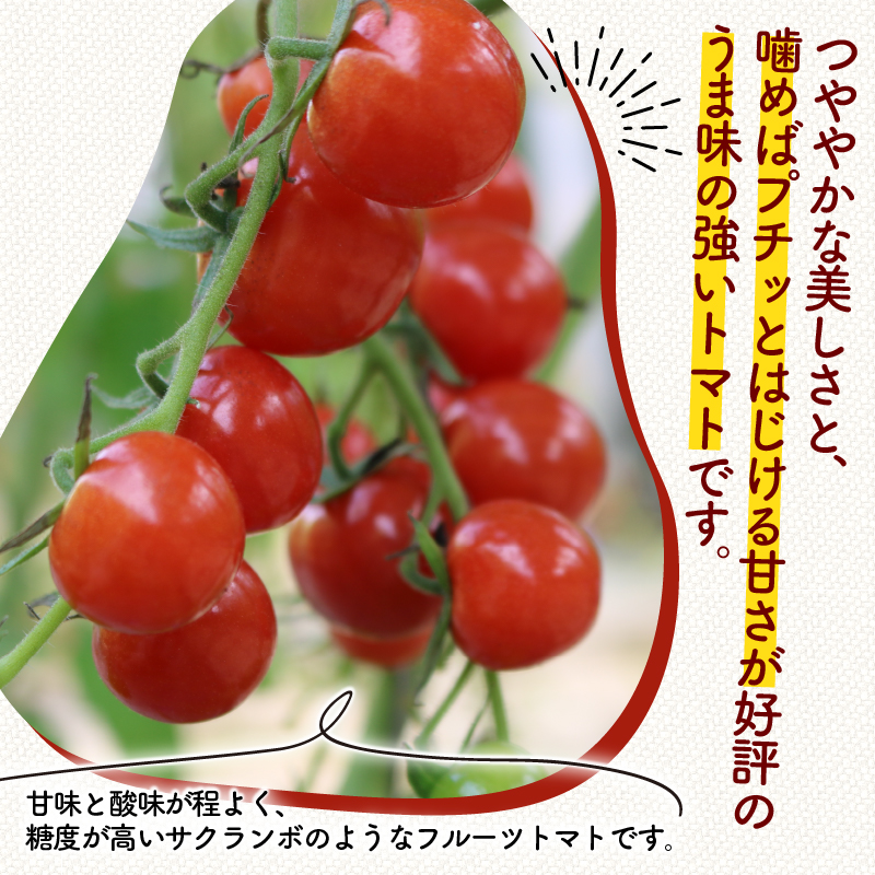 ミニ トマト プチルージュ 150g × 8パック 野菜 ダイエット 健康 リコピン グルメトマト トマト トマト トマト