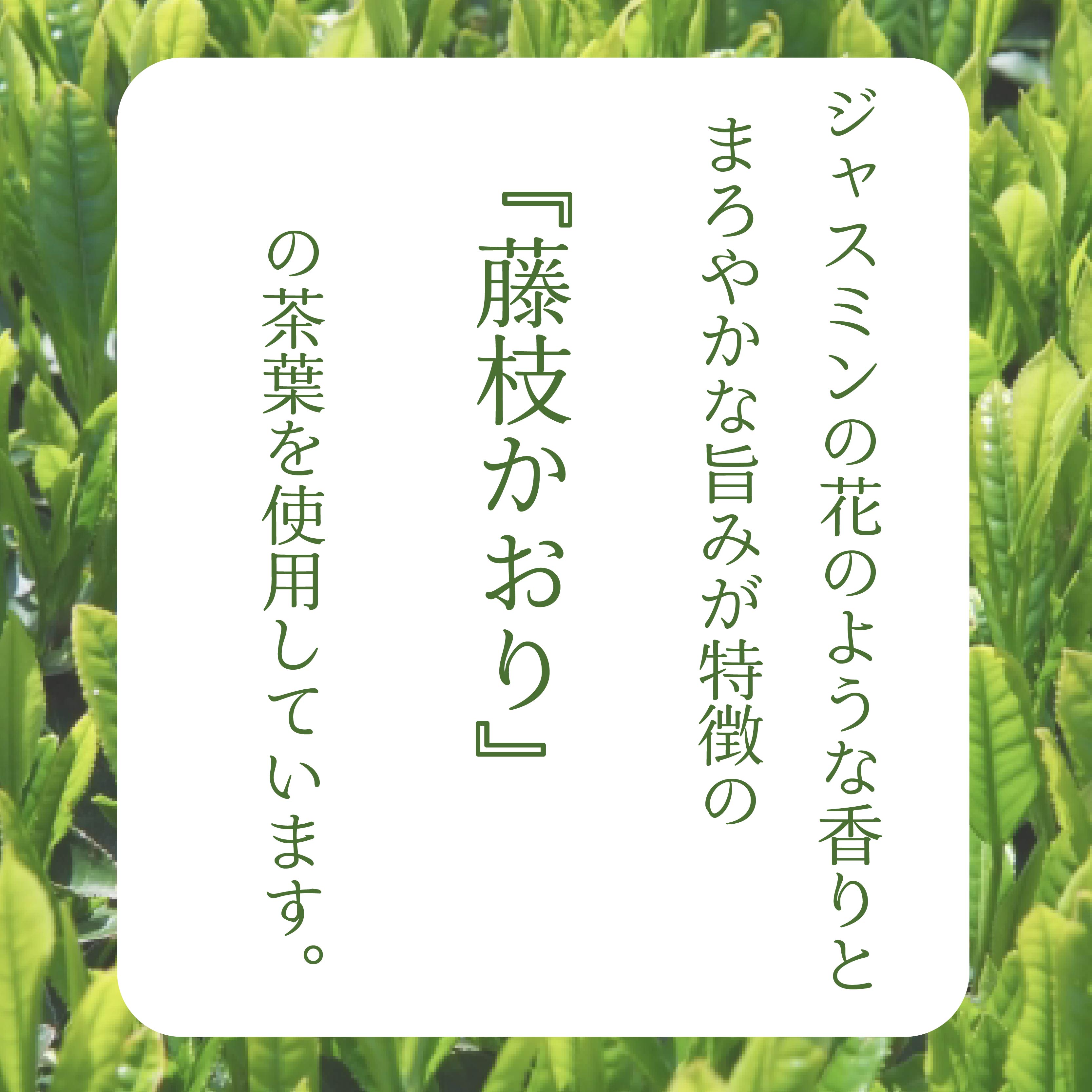 藤枝生まれのブランド茶『藤枝かおり』フィナンシェ　10個入り