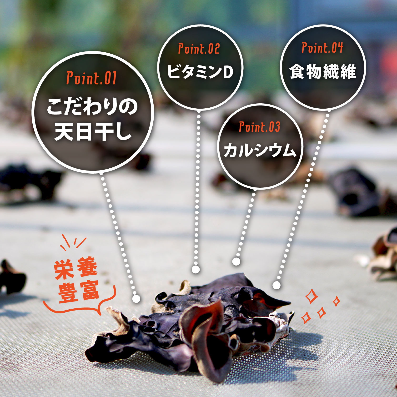  きくらげ 乾燥 丸干し 25g × 2袋 国産 天日干し きのこ きくらげ キクラゲ 木耳 ビタミンD 鉄分 カルシウム 静岡県 藤枝市