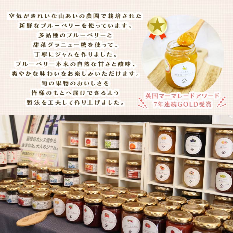 ブルーベリー ジャム 3本 詰め合わせ 無添加 英国 マーマレード アワード 受賞 工房 国産 フルーツ ブルーベリージャム やまゆ スイーツ ギフト 贈り物 季節 静岡県 藤枝市 トースト パン 朝食 朝ご飯