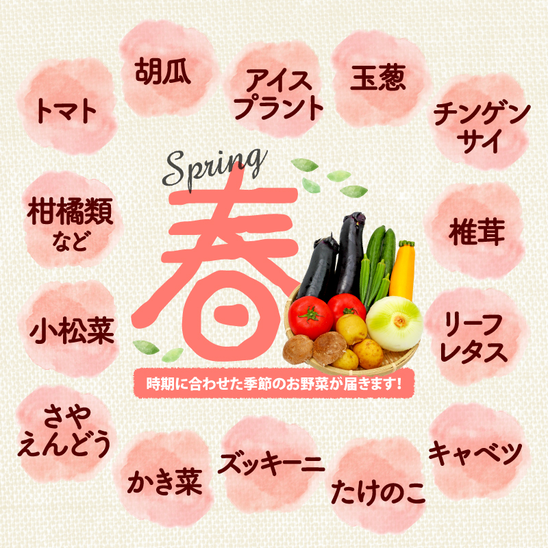 野菜 詰合せ 9～12種 おまかせ 旬 まんさいかん ボックス 静岡県 藤枝市 (旬 野菜 野菜セット 野菜盛り合わせ)