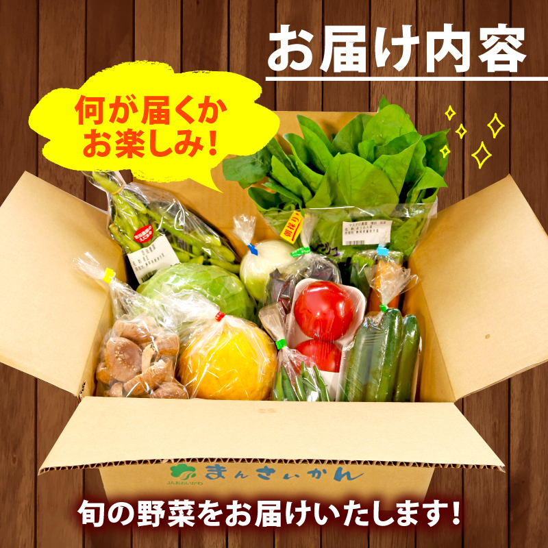 【全3回定期便】 野菜 詰め合わせ おまかせ 野菜詰合せ （9～12種） 野菜 詰合せ 9～12種 おまかせ 旬 まんさいかん ボックス 静岡県 藤枝市 (人気野菜 ふるさと納税野菜 ふるさと野菜 furusato野菜 おすすめ野菜 送料無料野菜 静岡県 藤枝市 )