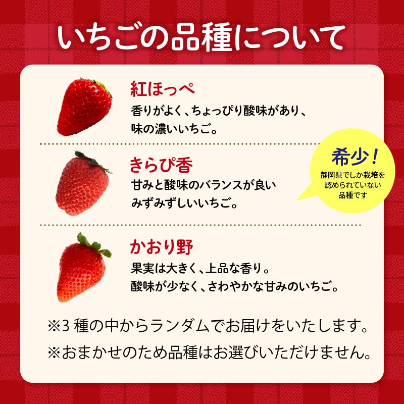 【先行予約 2026年04月より順次発送】 いちご 2kg 以上 おまかせ 苺 旬 産地 直送 フレッシュ イチゴ 紅ほっぺ きらぴ香 かおりの フルーツ 果物 国産 ジャパン ベリー オンライン決済限定 静岡県 藤枝市