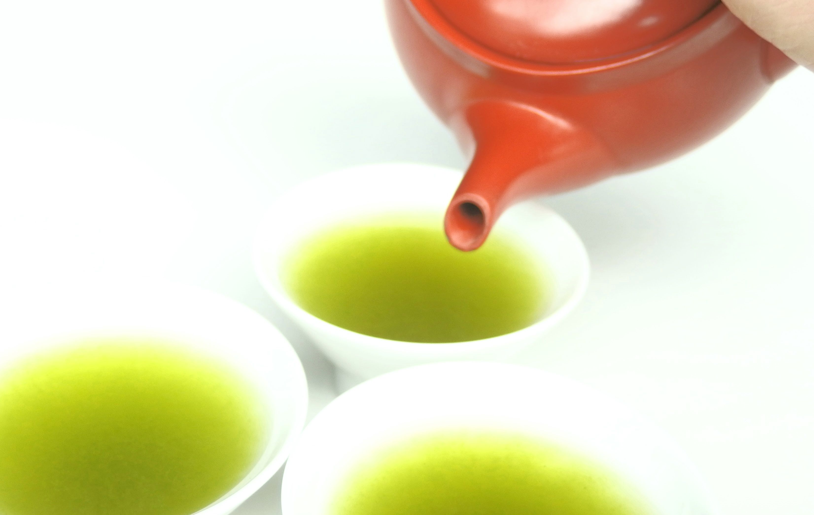 深蒸し茶 100g × 2缶 岡部宿 紙缶 静岡県産 日本茶 緑茶 お茶 静岡県 藤枝市