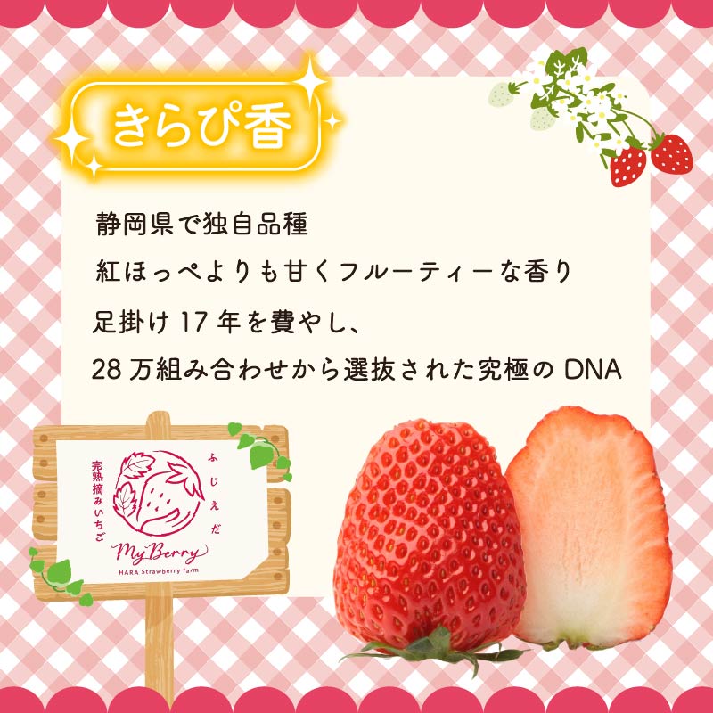 【先行予約 : 2026年3月～2026年5月発送予定 】 いちご きらぴ香 約1kg 約250g×4パック 朝どれ 完熟 苺 産地 直送 フレッシュ イチゴ 贈答 フルーツ 果物 国産 静岡県 藤枝市 ふるさと人気 ふるさとおすすめ